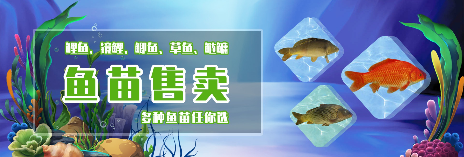 &#27431;&#23453;&#23448;&#26041;&#119;&#101;&#98;&#31449;&#45;&#79;&#112;&#101;&#108;&#32;&#111;&#98;&#40;&#20013;&#22269;&#41;